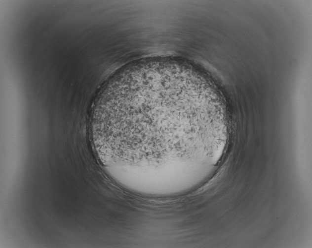 X0000111151257200908111127