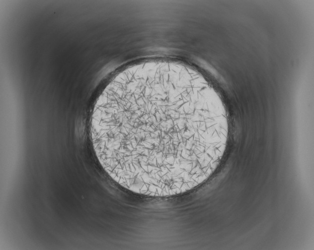 X0000111151259200908111127