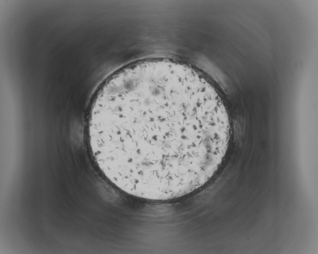 X0000111151260200908111127