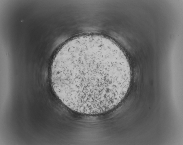 X0000111151261200908111127