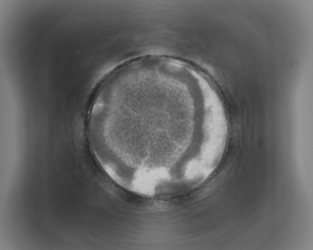 X0000111151263200908111127