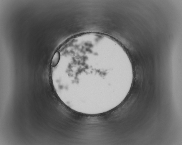 X0000111151264200908111127