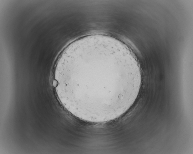 X0000111151268200908111127