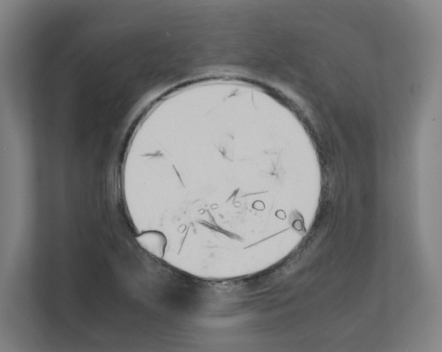 X0000111151271200908111127