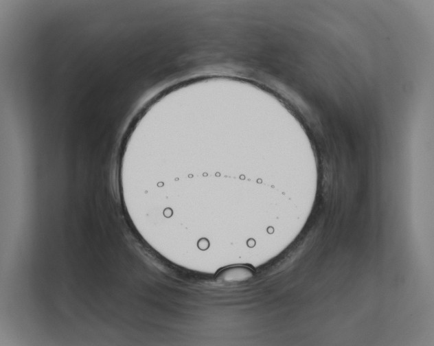 X0000111151272200908111127