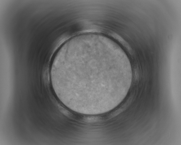 X0000111151274200908111126