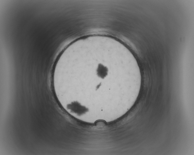 X0000111151277200908111126