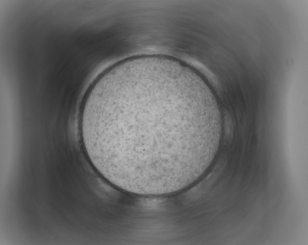 X0000111151278200908111126