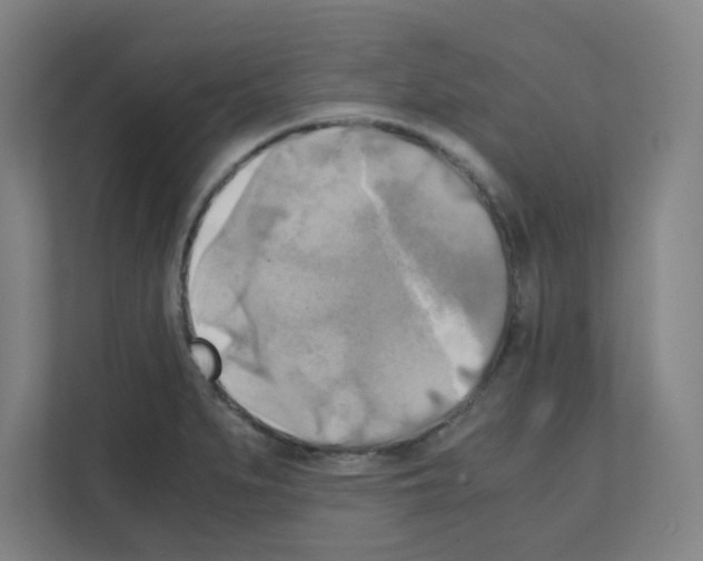 X0000111151279200908111126