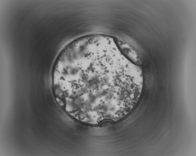 X0000111151280200908111126