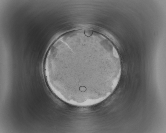 X0000111151283200908111126