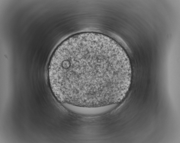 X0000111151284200908111126