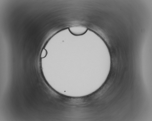 X0000111151285200908111126