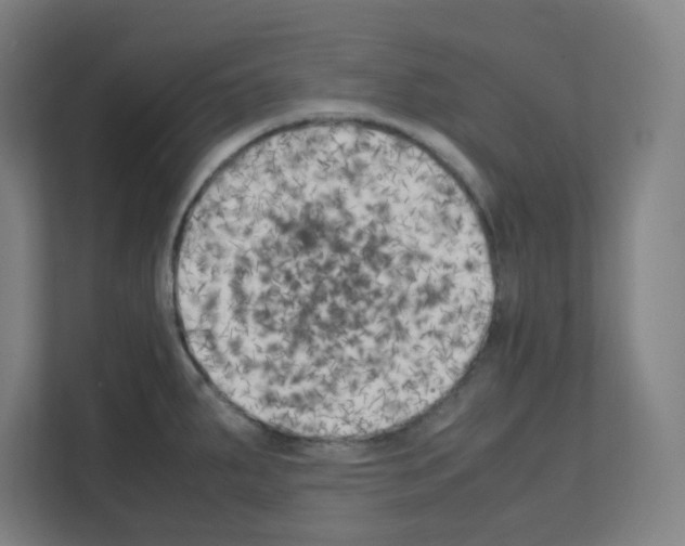 X0000111151287200908111126