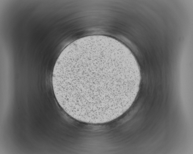 X0000111151289200908111126