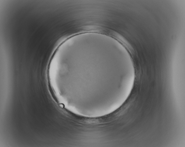 X0000111151291200908111126