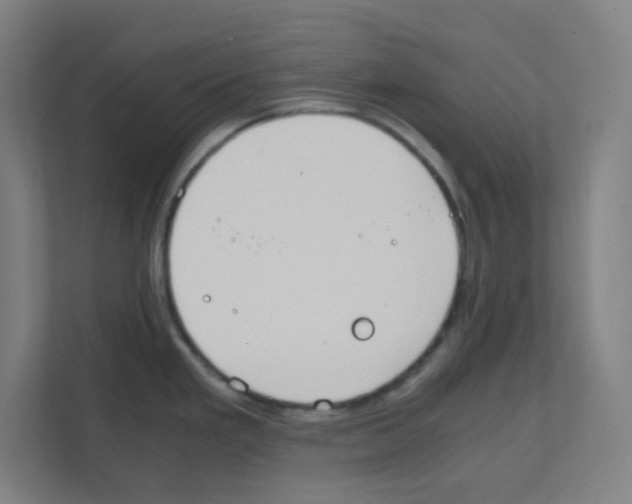 X0000111151293200908111126