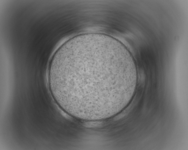 X0000111151294200908111126