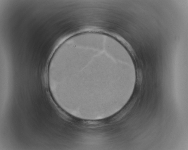 X0000111151295200908111126