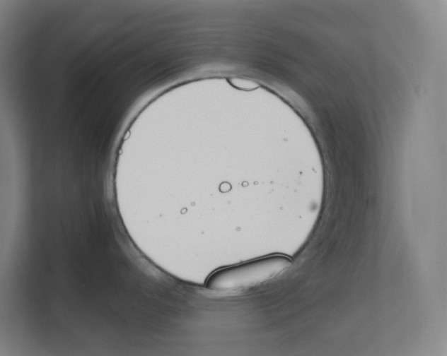 X0000111151296200908111126