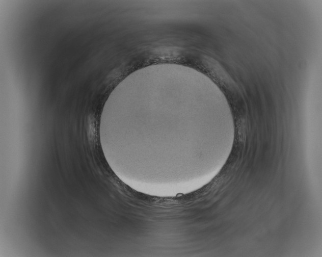 X0000111151298200908111126