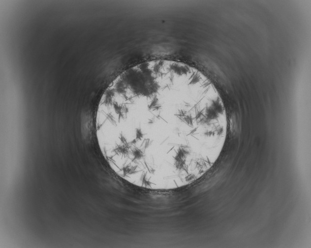 X0000111151299200908111126