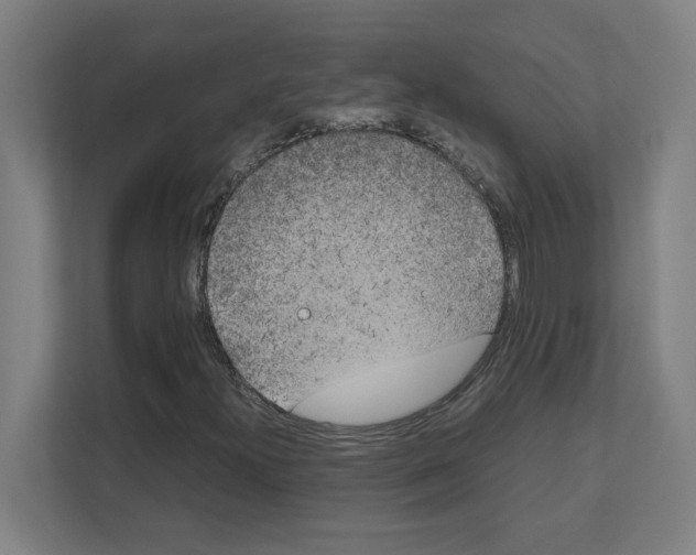 X0000111151300200908111126