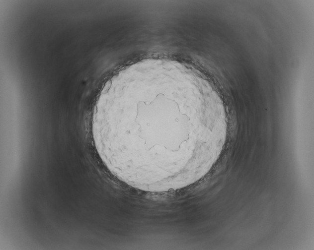 X0000111151301200908111126