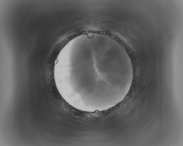 X0000111151303200908111126