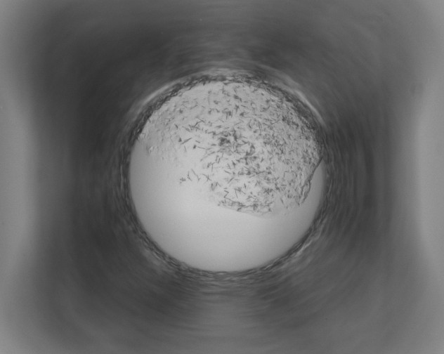 X0000111151304200908111126