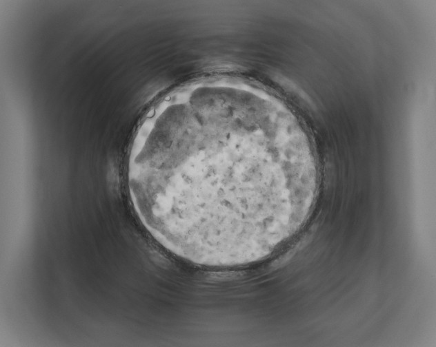 X0000111151305200908111126