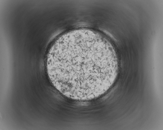 X0000111151309200908111126