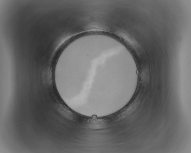 X0000111151310200908111126