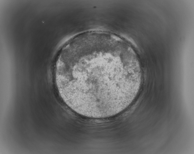 X0000111151311200908111126