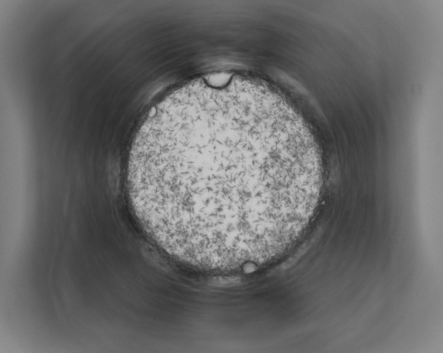 X0000111151313200908111126