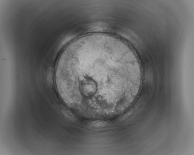 X0000111151314200908111126