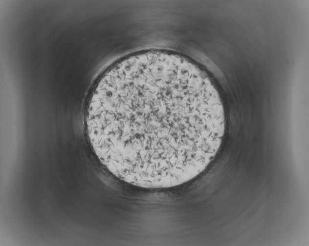 X0000111151316200908111126