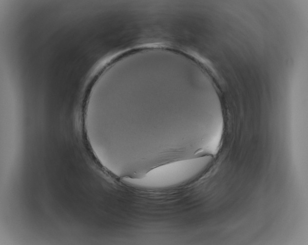 X0000111151319200908111126