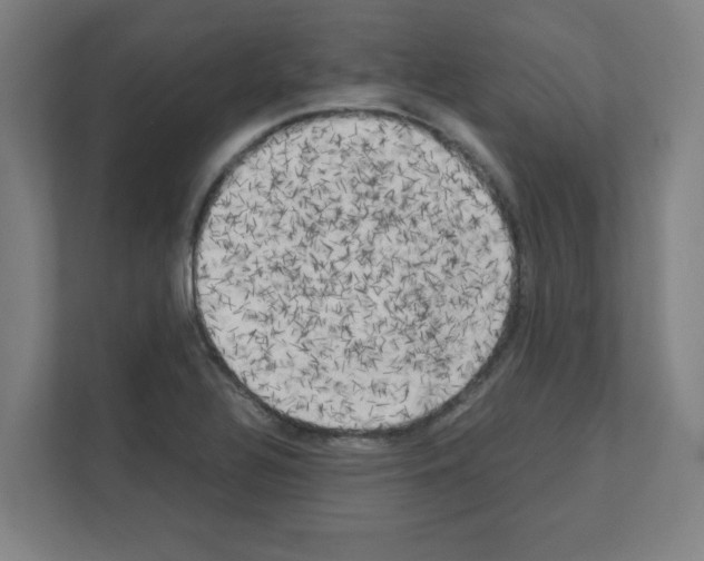 X0000111151320200908111126