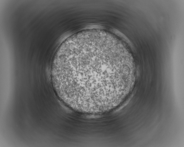 X0000111151321200908111126