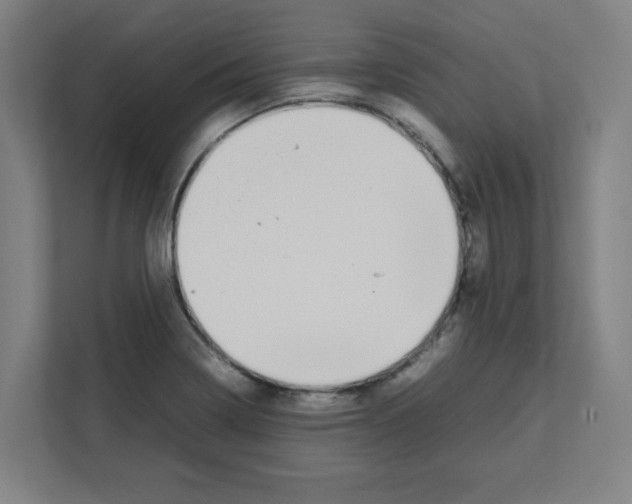 X0000111151322200908111126