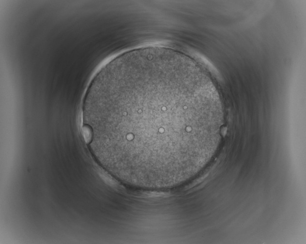 X0000111151324200908111126