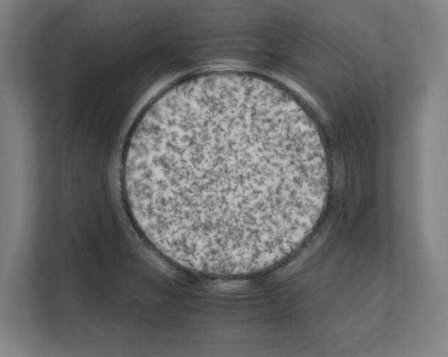 X0000111151325200908111126