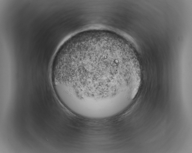 X0000111151326200908111126