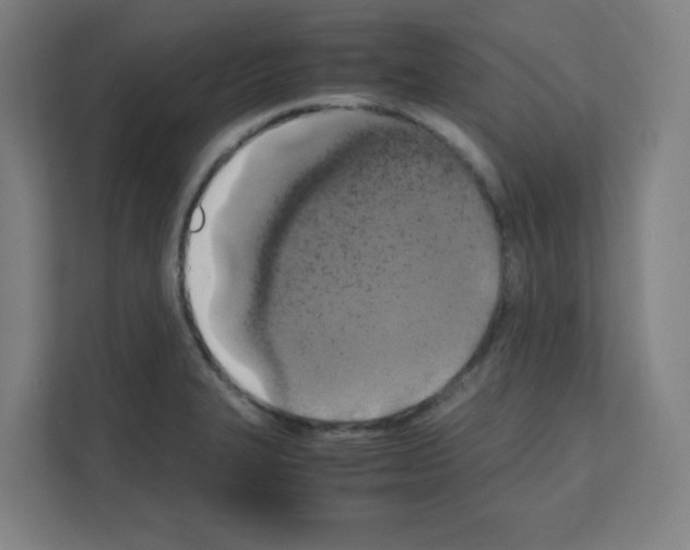 X0000111151327200908111126