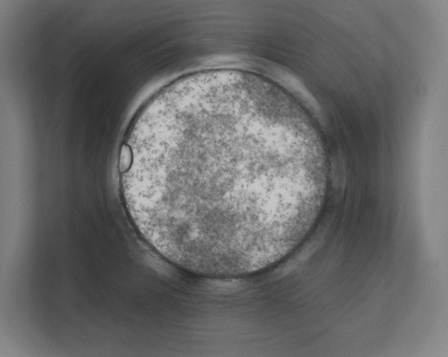 X0000111151328200908111126