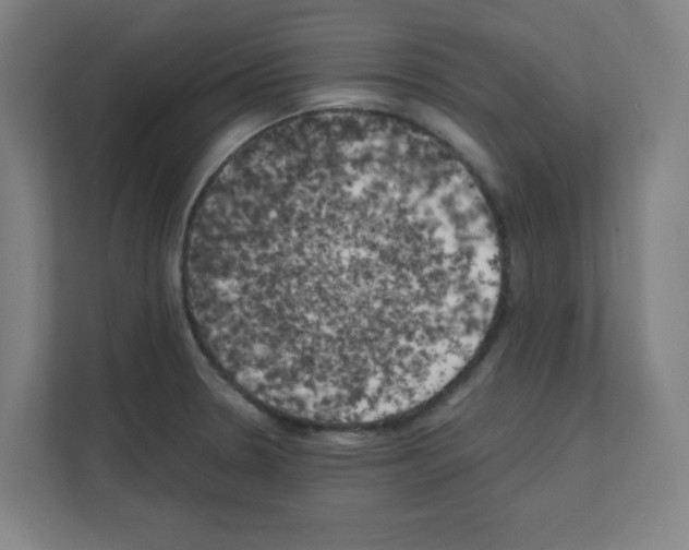 X0000111151330200908111126