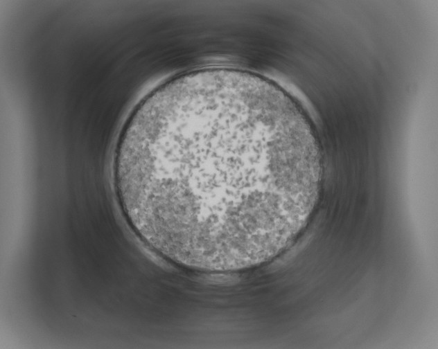 X0000111151333200908111126