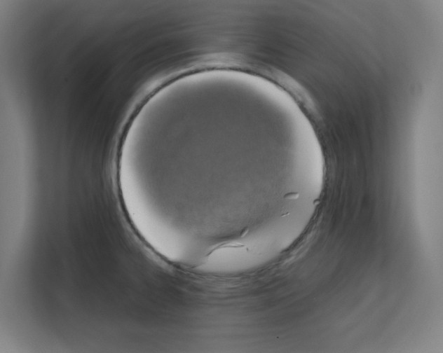 X0000111151334200908111126