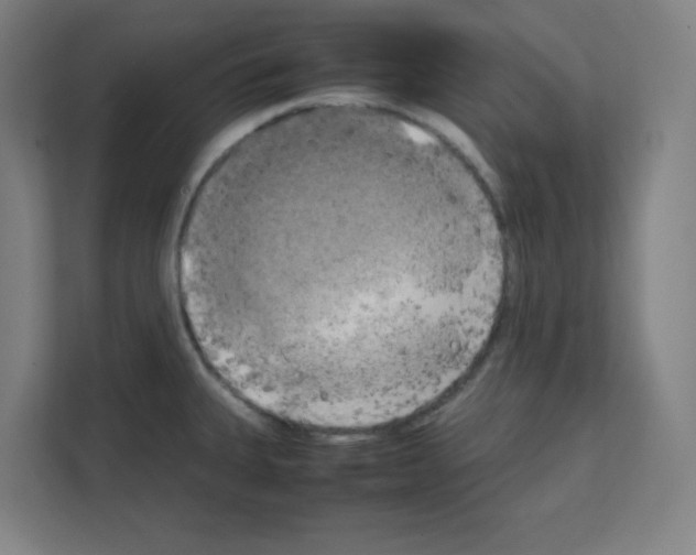 X0000111151335200908111126